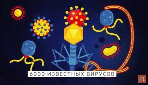Наука о вирусах