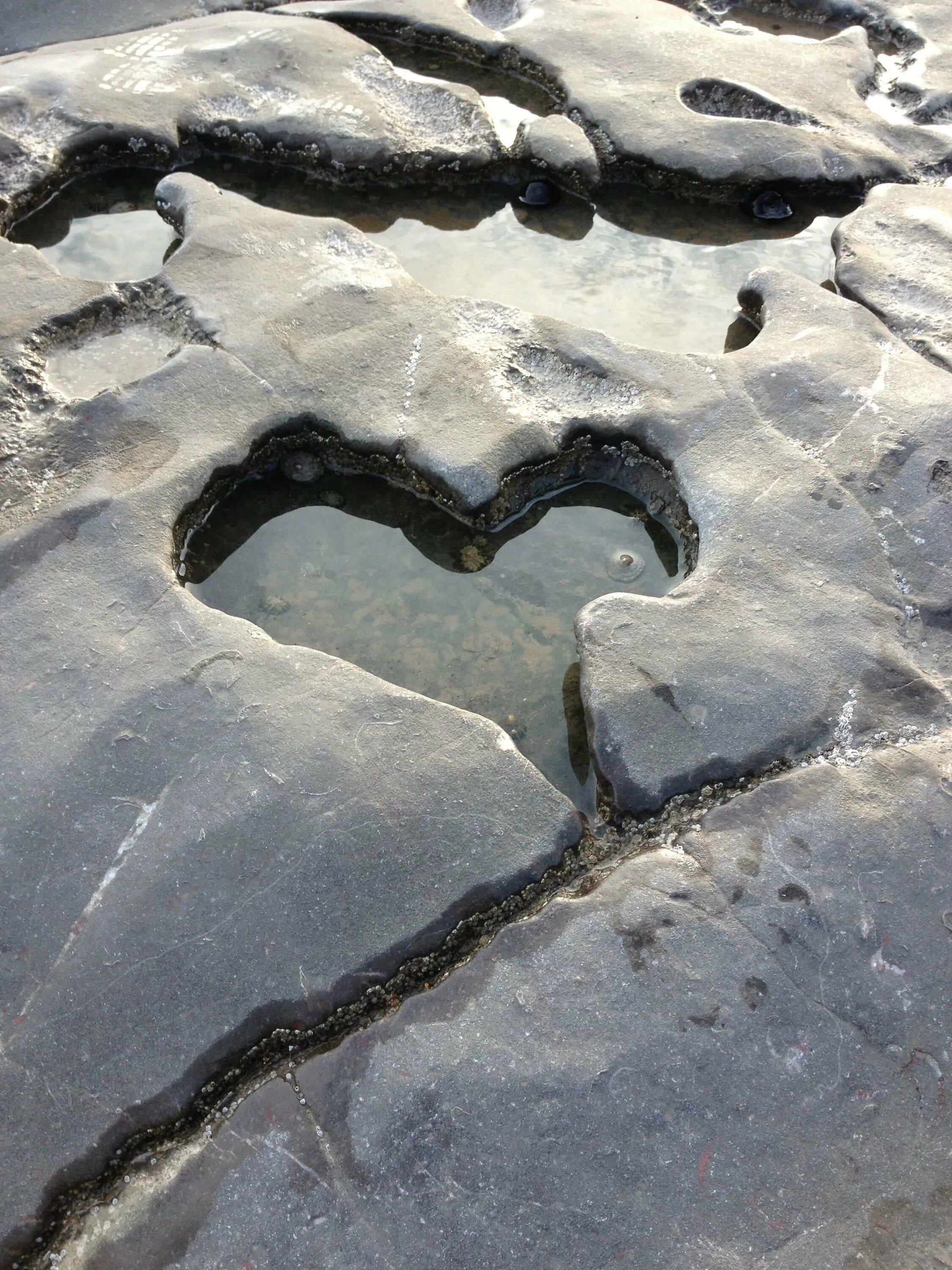 Люблю людей влюбленных в камни. Камень в форме сердца. Булыжник в виде сердца. Сердечки в природе. Каменное сердце.