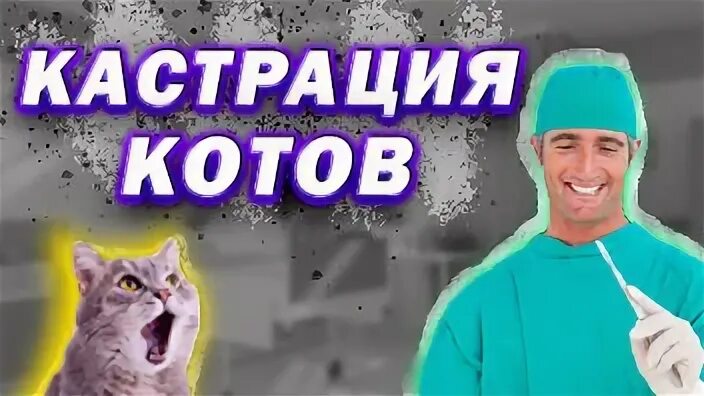 Минусы кастрации собак