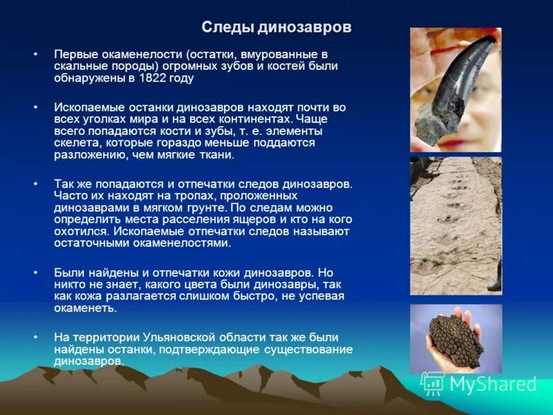 Окаменелости антарктиды. Возраст ископаемых. Древнейшие люди эволюционный возраст. Окаменелости живых организмов. Палеонтологический метод.