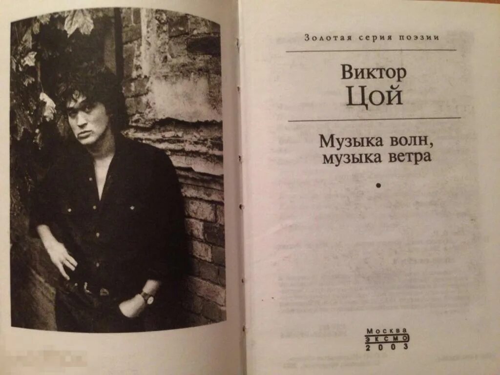 Книги про Виктора Цоя. Музыка волн музыка ветра. Песни Цоя.