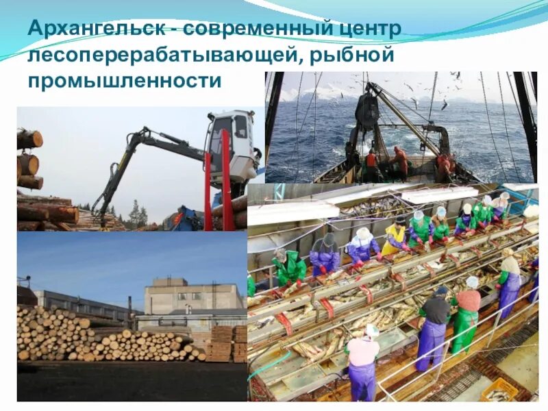 Рыбная промышленность является отраслью специализации. Рыбная промышленность европейского севера России. Рыбная промышленность Архангельск. Рыбная промышленность Архангельской области. Хозяйство европейского севера Рыбная промышленность.