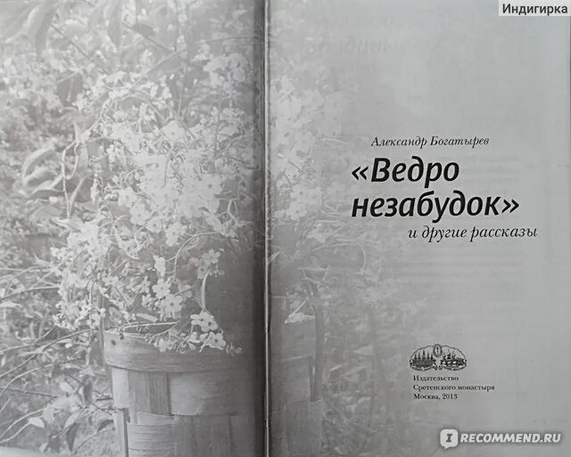 Ведро незабудок и другие рассказы. Ведро незабудок книга. ведро &quot;незабудка&quot;.