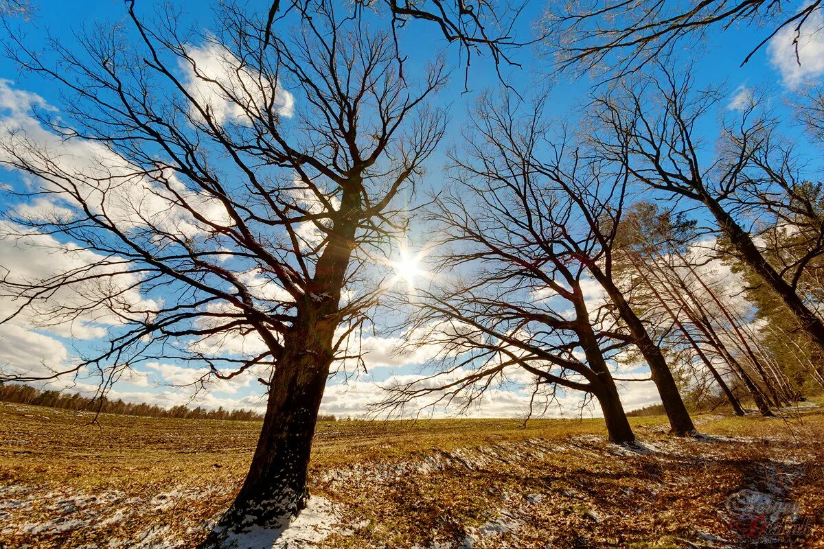 Кот на солнце. Фотосайт. Теплый апрель. Наступил теплый апрель. Апрель природа.