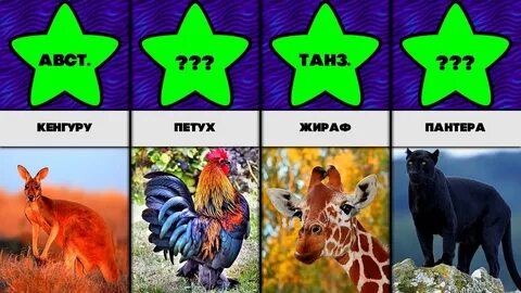 Какая страна какое животное
