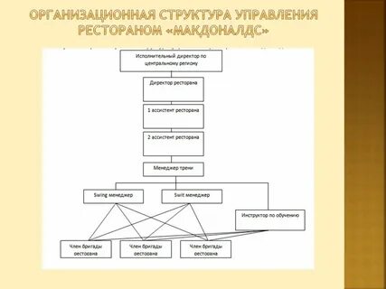Общая структура организации это