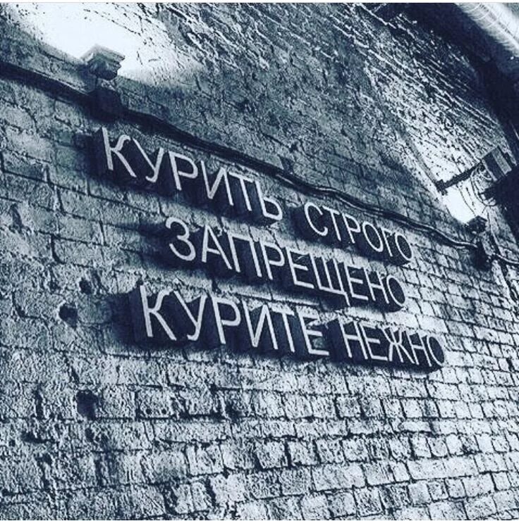 Цитаты про улицу. Надписи на стенах. курить строго запрещено курите нежно. уличные цитаты.