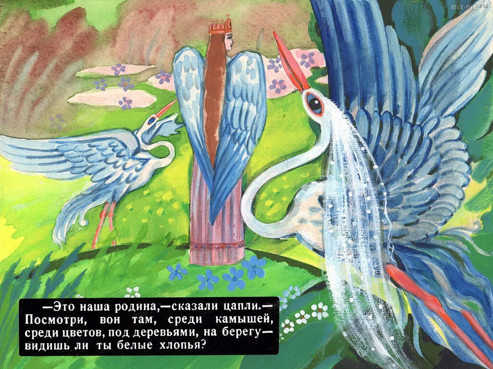 Белые цапли текст