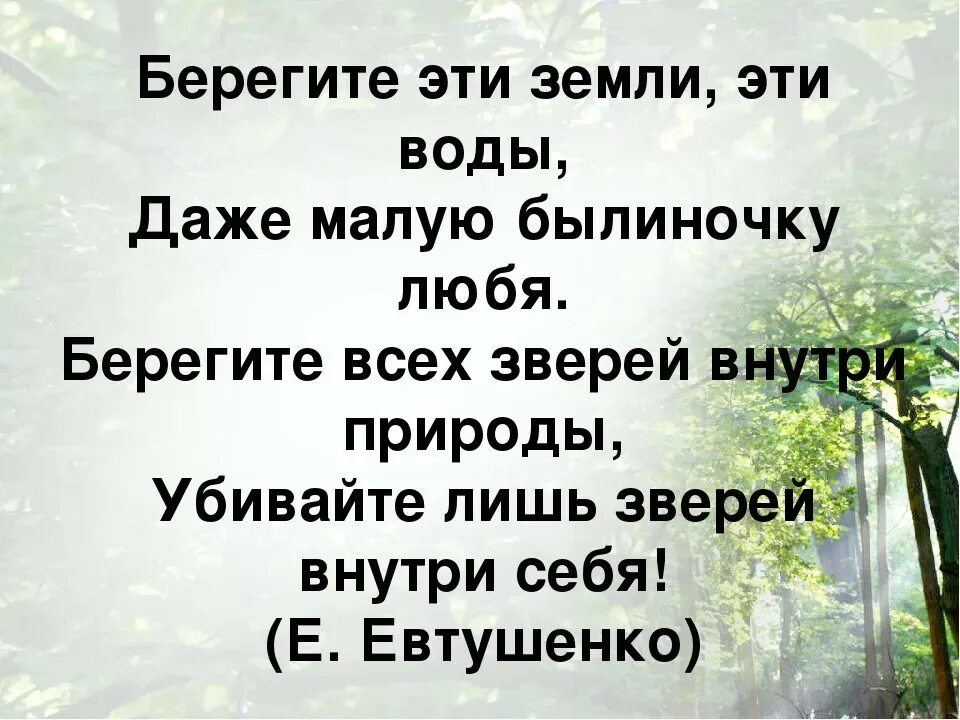 Берегите эти земли эти воды даже малую былиночку любя. Стих берегите эту землю эту воду. Беречь даже. Берегите землю. Надо себя беречь стихотворение.