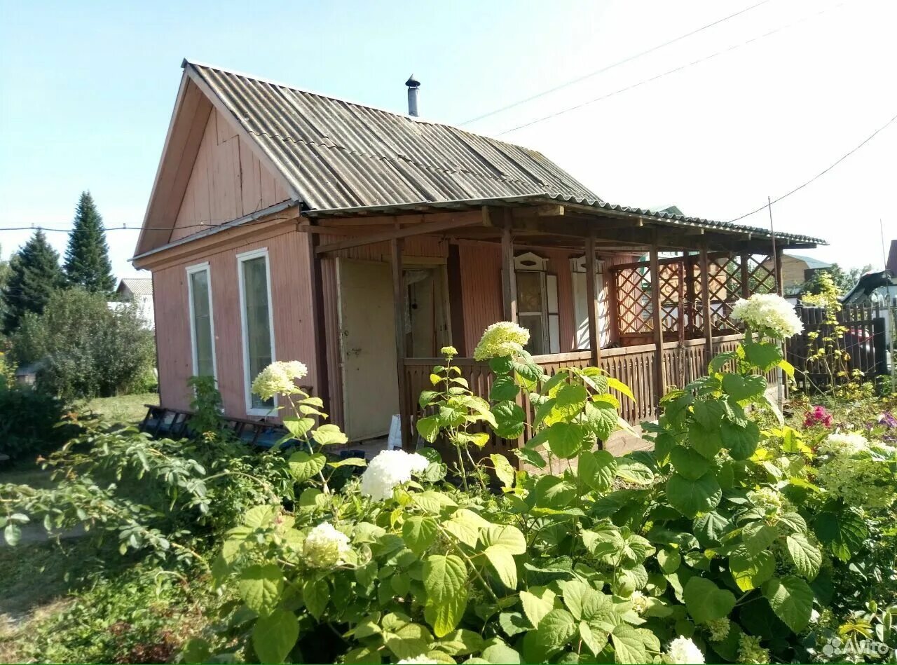 Садоводство дача. Сады дачи Бийск. Садоводство Аэрофлот. Садоводство Аэрофлот Бийск.