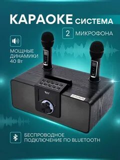Караоке система с двумя микрофонами