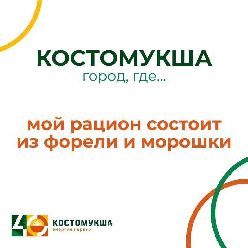 среда костомукша центр. центр культурного развития костомукша среда. живой город фонд костомукша. центр среда костомукша. дмик костомукша.