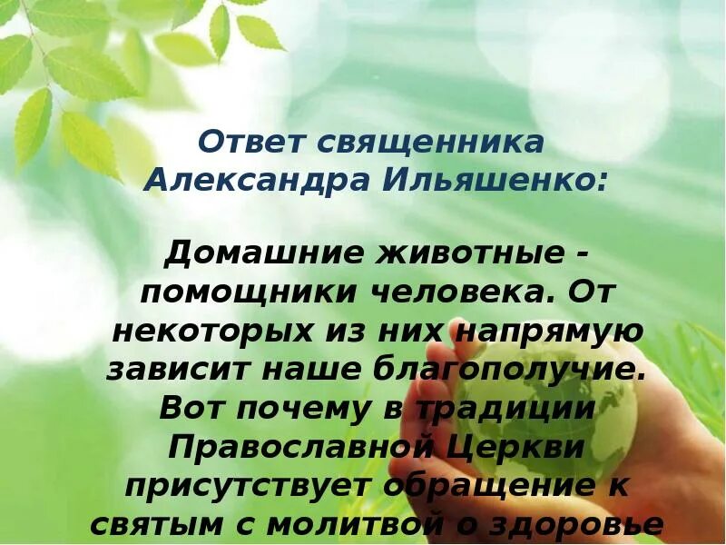 Отношение к природе орксэ 4 класс. Отношение к природе орксэ 4 класс