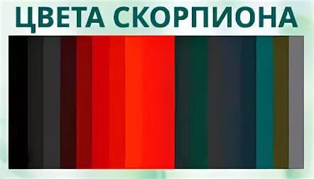 Какой цвет скорпиона женщины