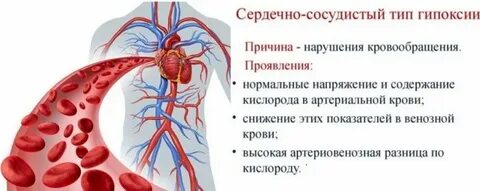 Гипоксия при нарушении кровообращения