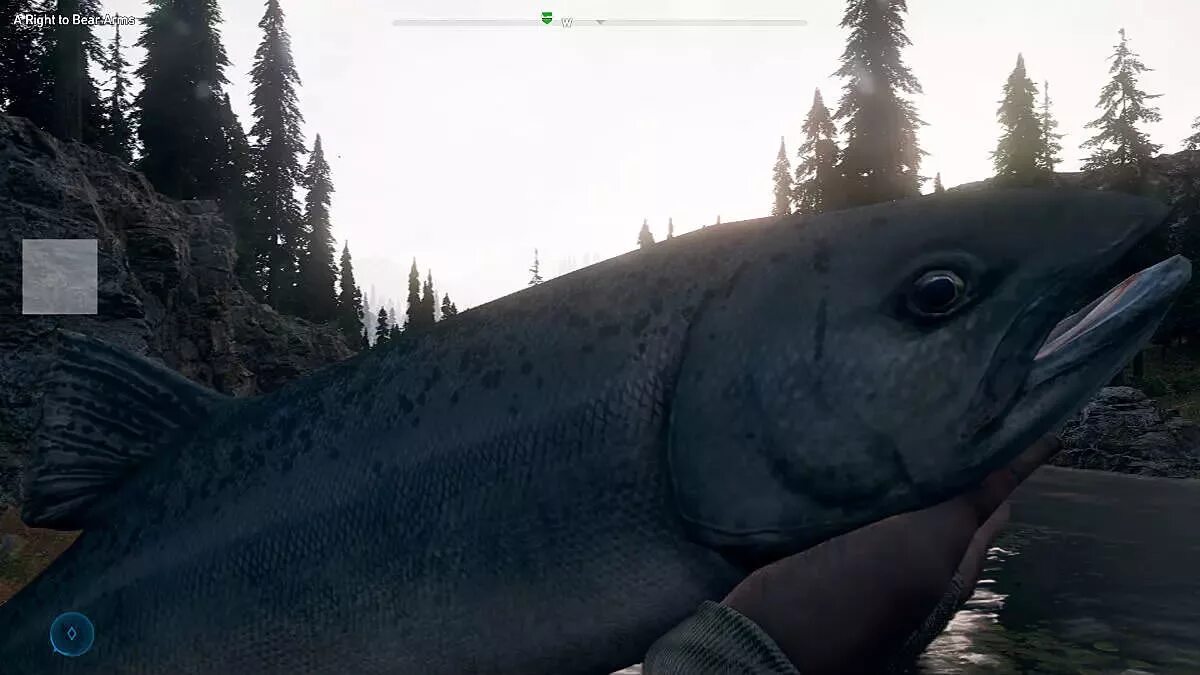 Fishing far Cry 5. Far Cry 5 рыбалка. Far Cry 5 рыба. Фар край 5 рыбалка. Фар край 5 рыбы