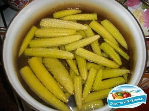 Как сварить спелую кукурузу