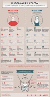 Спорт при гипотиреозе: полезные советы для здорового образа жизни ЗОЖ - Частые в