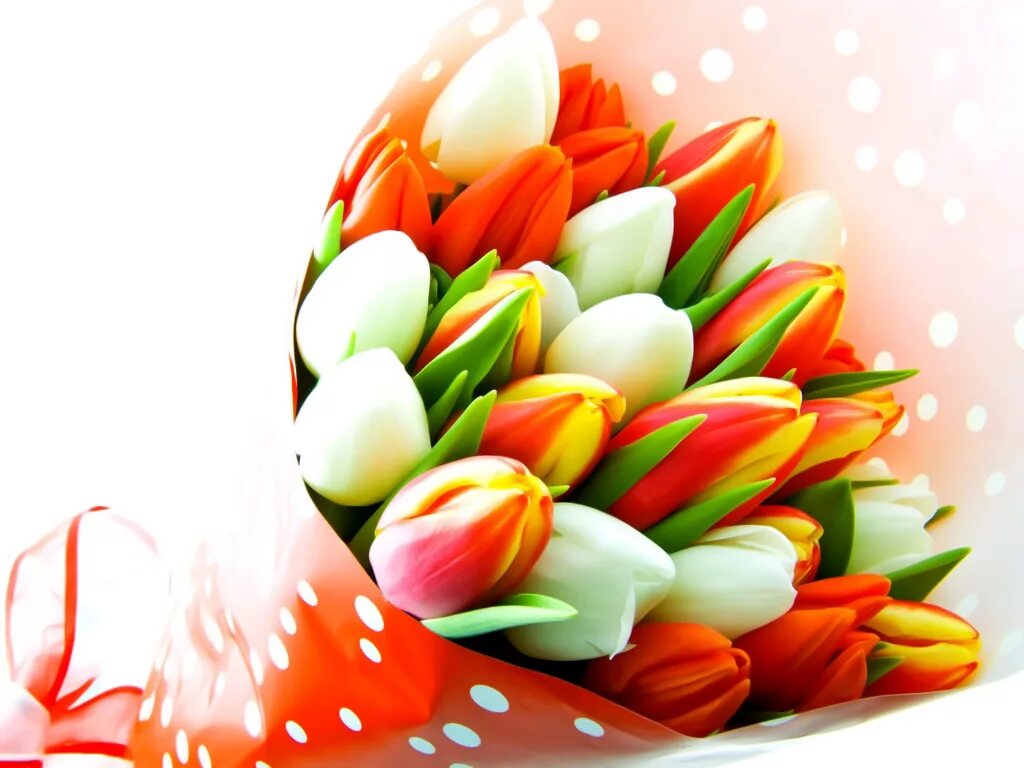 Поздравляем с наступающим международным женским днем. Тюльпаны открытка. С днём рождения тюльпаны.