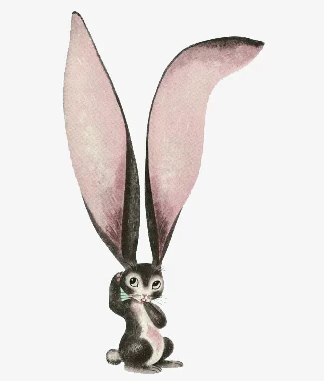 Заяц с длинными ушами. Длинные заячьи уши. Уши зайца. Зайка с большими ущками.