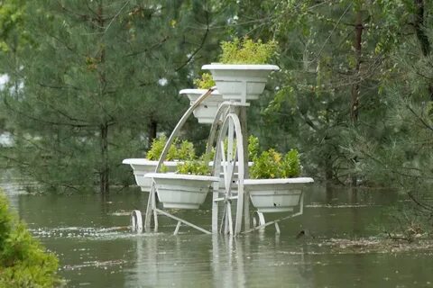 Вода в таганроге сегодня