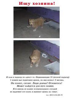Рассказ хозяин жизни