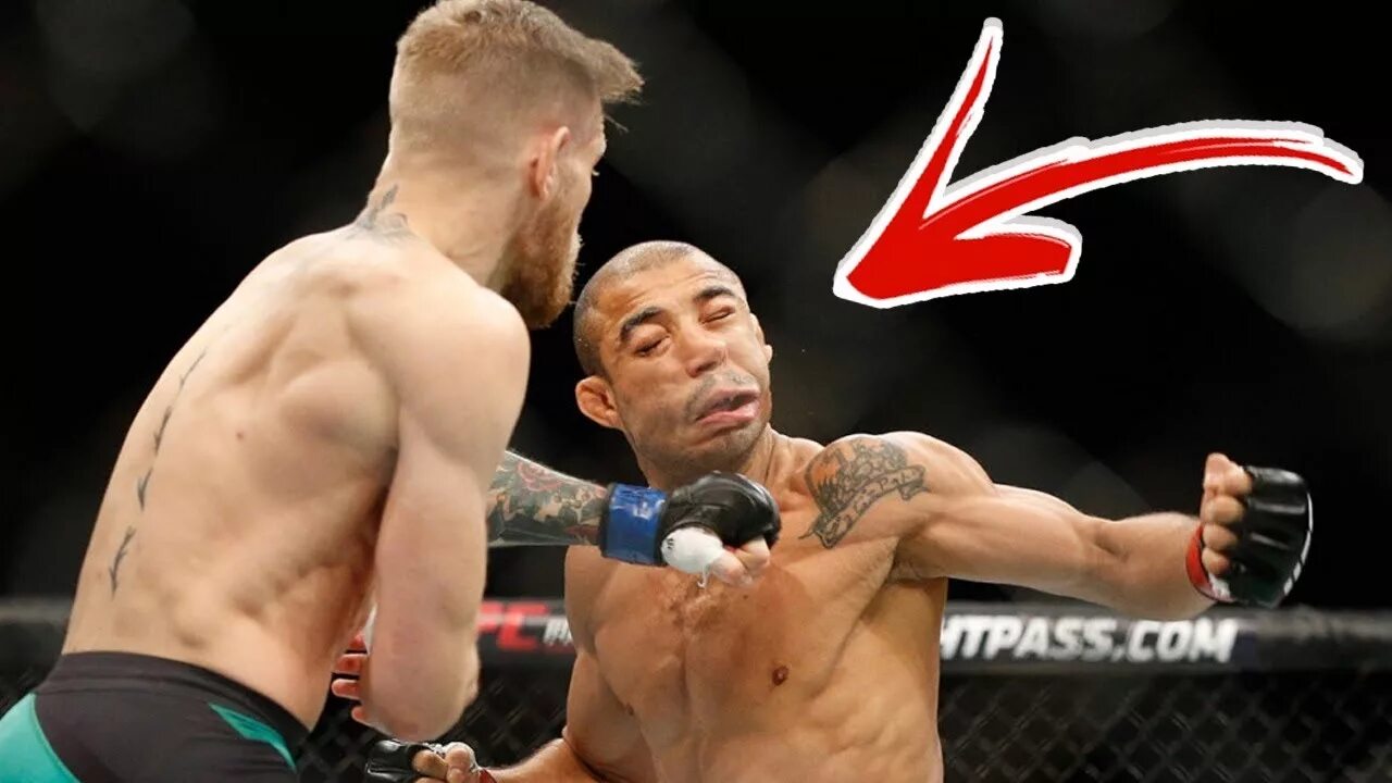 77 вес ufc. Весовые категории в ufc и чемпионы. Энтони эрнандес боец. Юфс полулегкий вес таблица. Макгрегор порье.