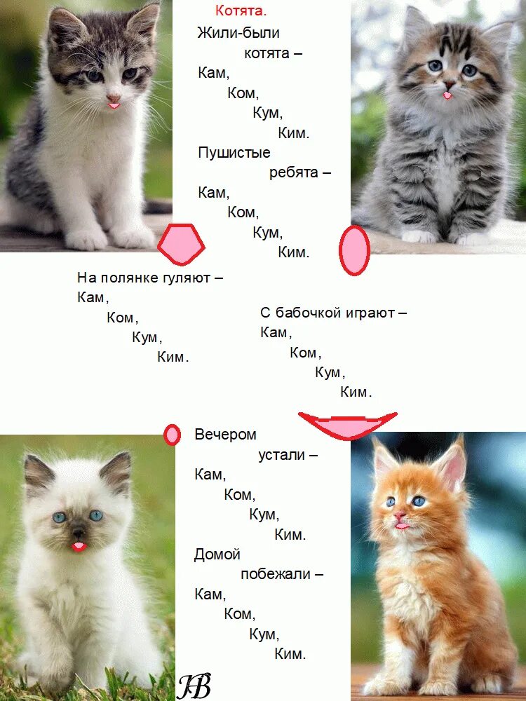 Дай имя кошки. Клички для кошек. Имена для котят мальчиков. Имена доя коров мальчкиов. Кличка для кого.