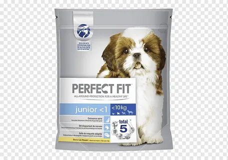 Dog junior