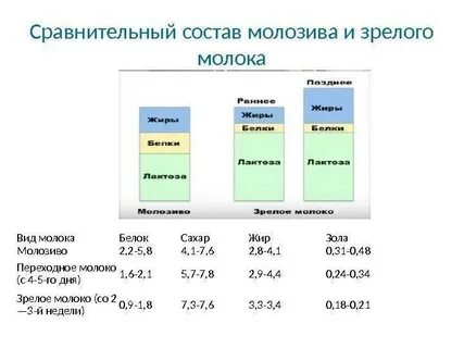 36 недель молозиво