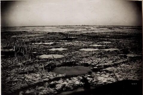 Заповедник 1916 года