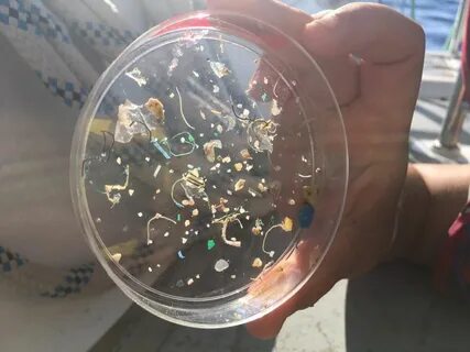 Микропластик в бутилированной воде