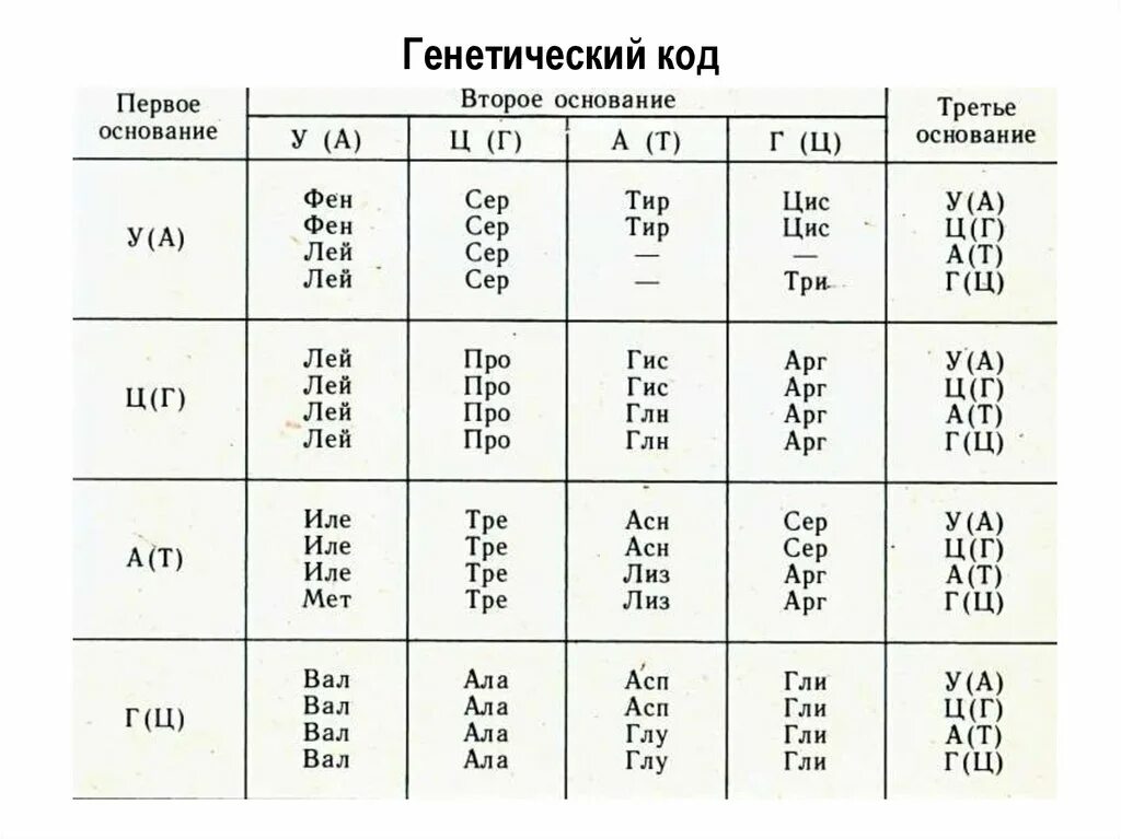 Белковый код. Генетический код таблица биология 10 класс. Кодирование ДНК таблица. Таблица генетического кода биология 9 класс. Свойства генетического кода биология таблица.