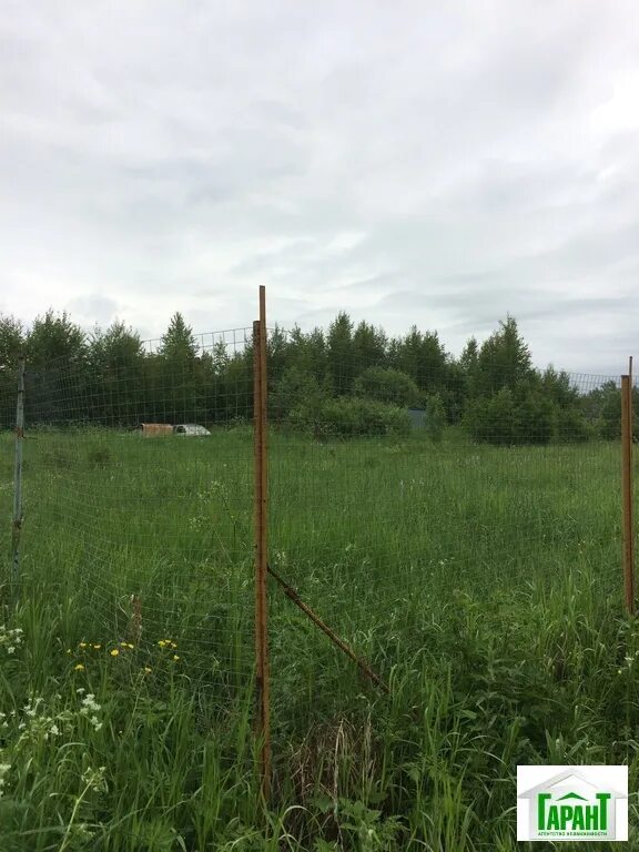Погода в масюгино клинского. Погода в масюгино клинского. Кадниково деревня клинский раён. Погода в масюгино клинского. Погода масюгино клинский.