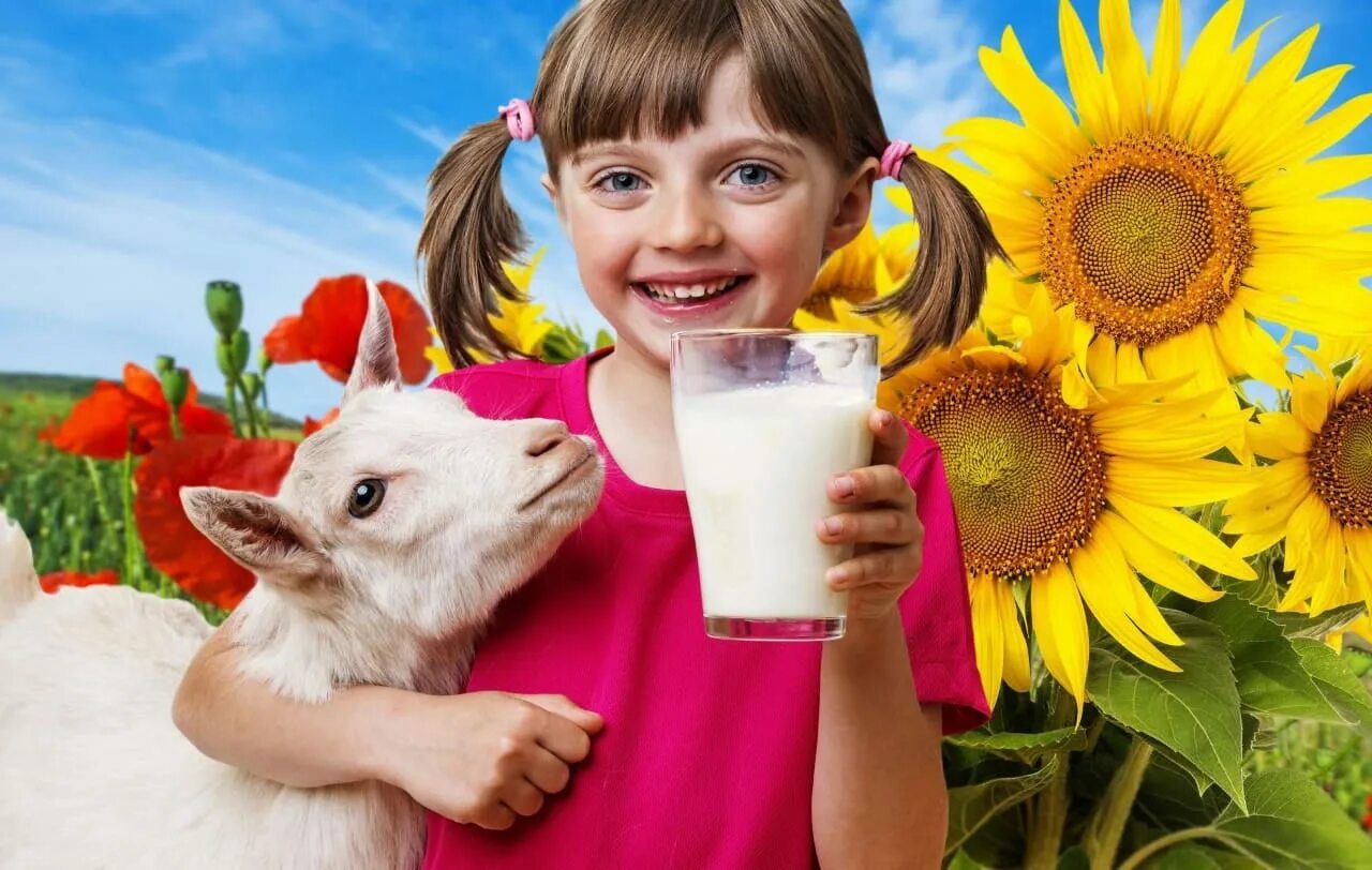 Кормим ребенка козьим молоком. Козье молоко для детей. Козье молоко реклама. Коза молоко. Козье молоко фото.