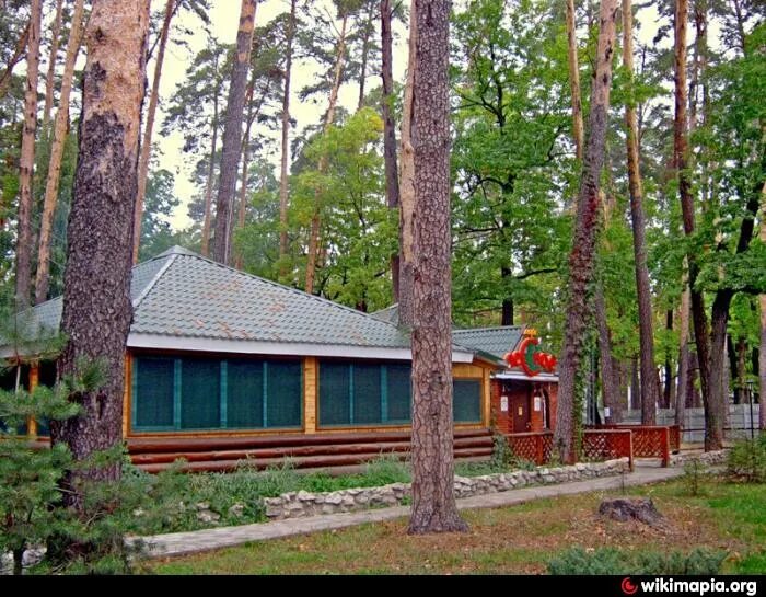 Лесной бункер солотча. Лесное Рязань Солотча. Кафе Лесное Солотча. Кафе Лесное Рязань. Кафе лесок Солотча Рязань.