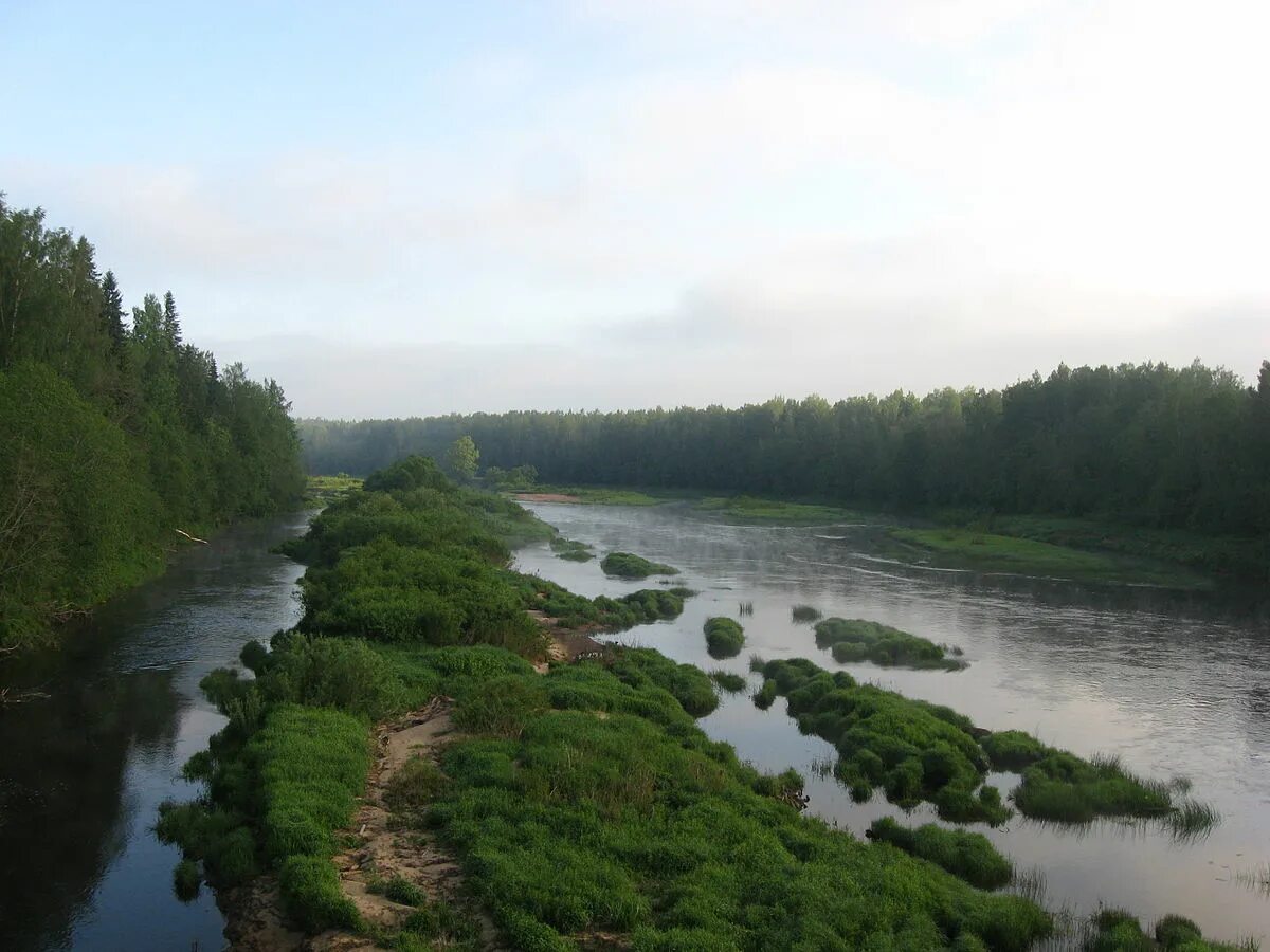 Устье ленинградская область. Морье ладожское озеро. Река дымовка. Устье реки авлога. Ладожка река ленинградская область.