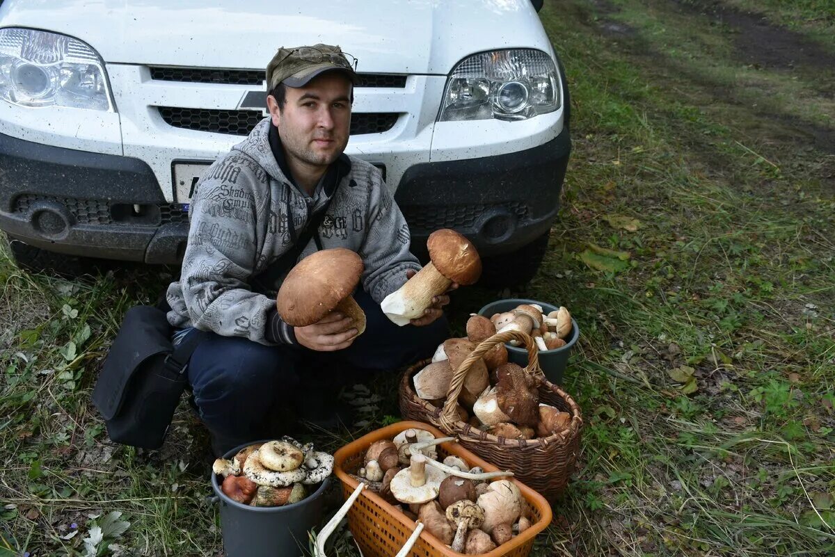 Грибник. Рай грибника. Белый гриб тачка. Горе грибники.