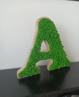 Буквы з мха