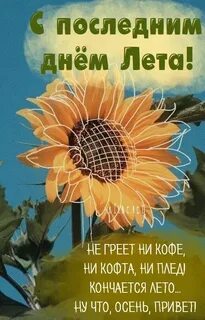 Последний день лита
