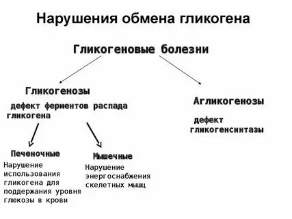 Ффн биохимия