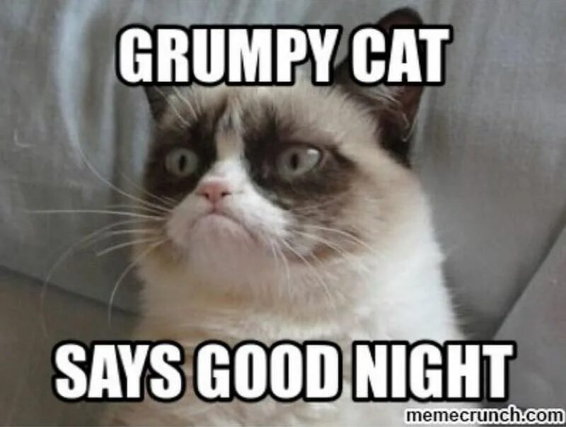 Night meme. Good Night memes. Good Night Мем. Grumpy Cat good.