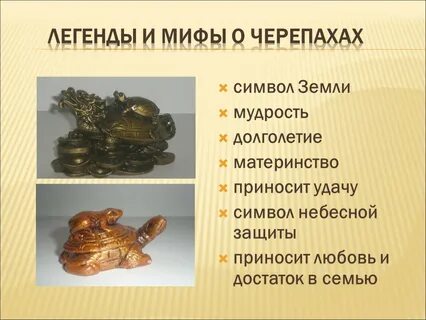 Что означает черепах