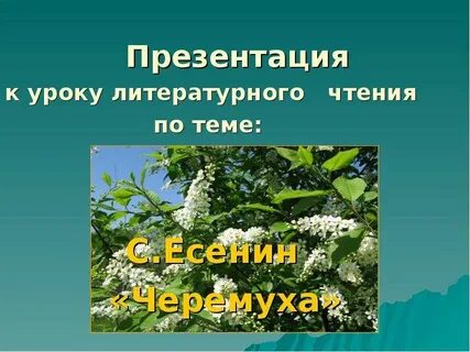 Презентация стих