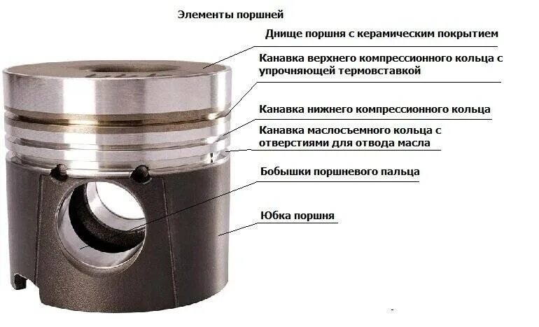 Детали поршневой группы. Поршень двигателя части Назначение поршня. Днище поршня МТЗ 82. Устройство поршня ДВС. Канавка под компрессионное кольцо поршня ЯМЗ 238.