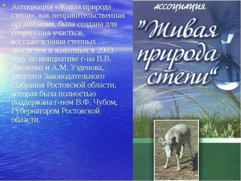 Как можно улучшить условия проживания в степи. Условия живой природы в степи. условия неживой природы в степи.