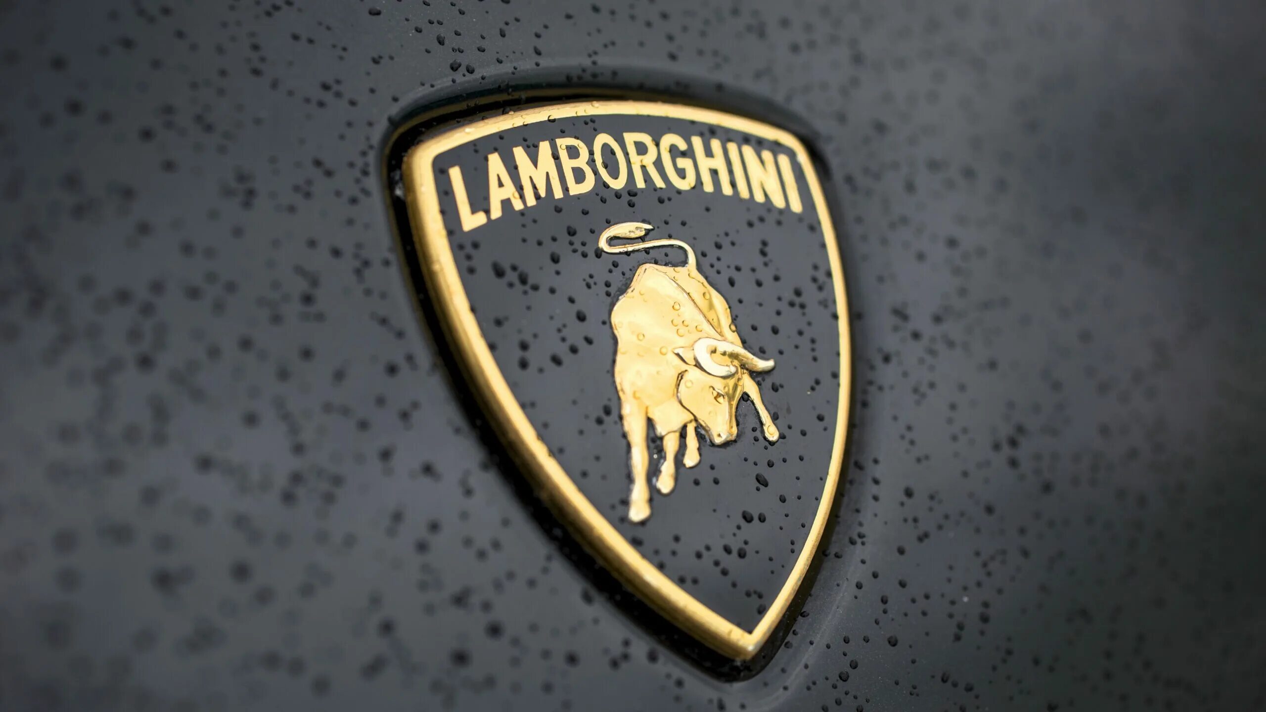 Ламборгини обои эмблема. Значок машины Ламборджини. Марка Lamborghini. Обои марки Ламборджини. Новый значок ламборгини