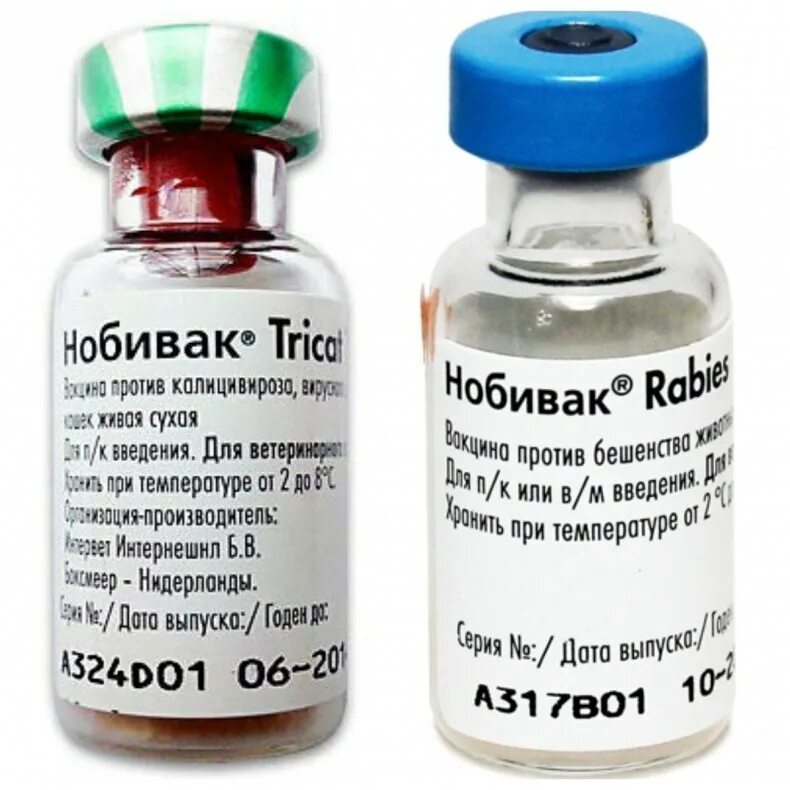 Лучшая прививка для кошек. Нобивак DHPPI RL. Nobivac DHPPI. Нобивак Rabies. Нобивак DHPPI И рабиес.