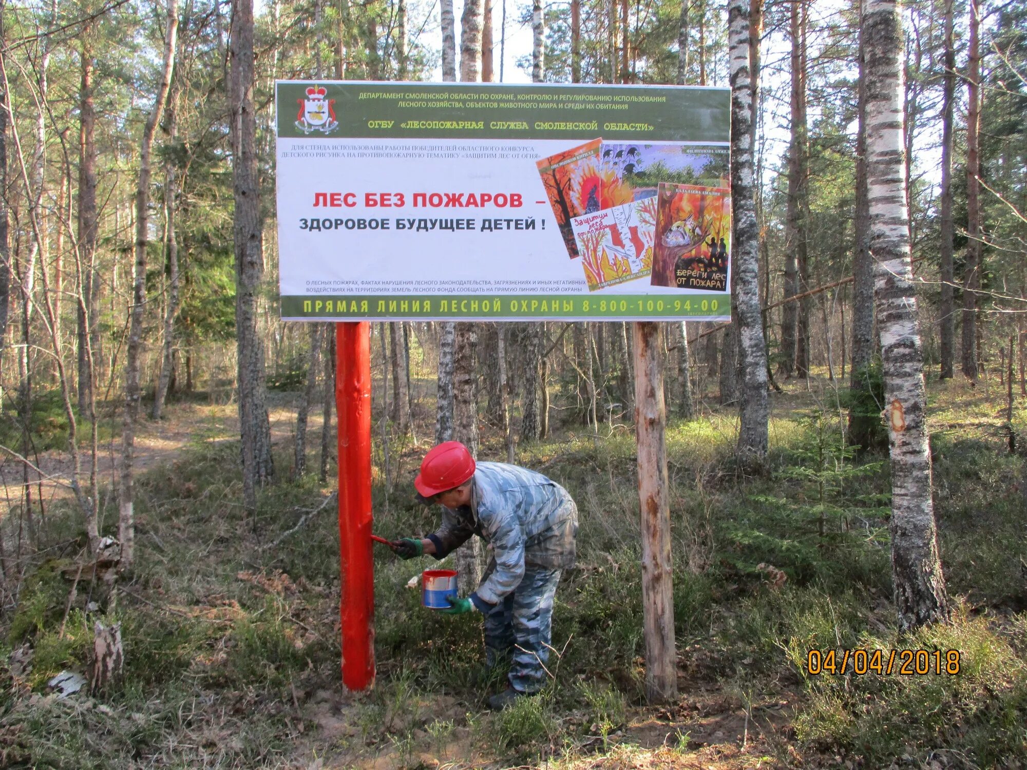 противопожарные аншлаги в лесах. баннер лес. аншлаг в лесном хозяйстве. противопожарные аншлаги в лесах. аншлаг в лесу.