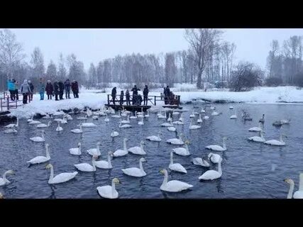 Алтай февраль 2024